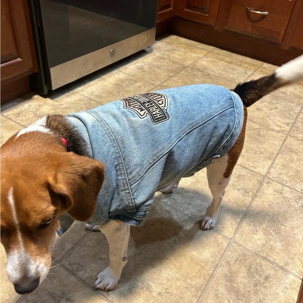 HARLEY DAVIDSON ~ dog denim jacket/vest size Medium** - Picture 4 of 8